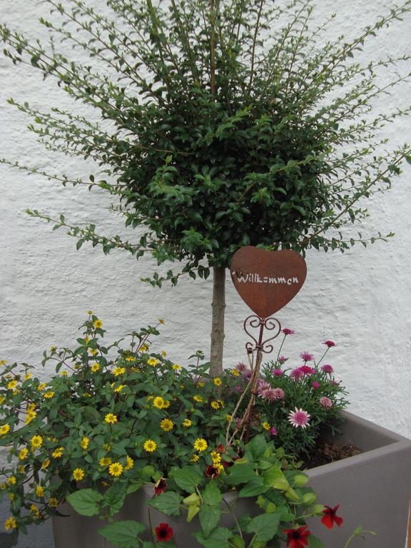 Hotel Weixler Schindelberg Oberstaufen Exterior foto